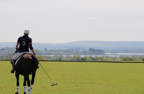 Dorset Polo Club