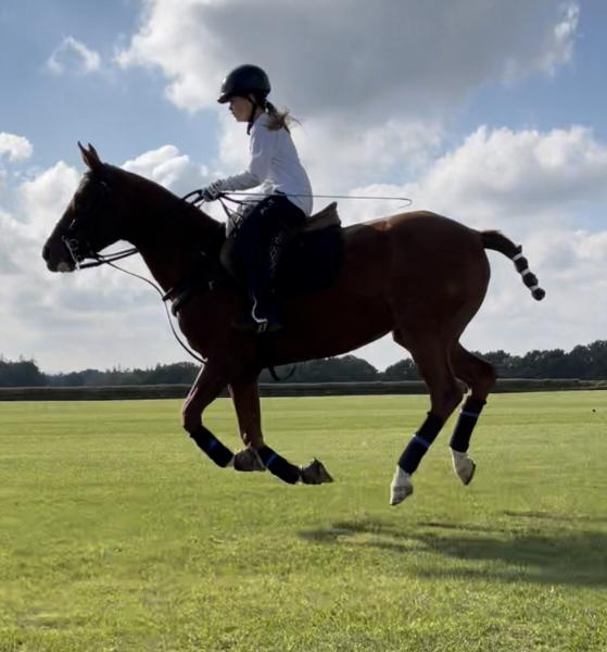 Dorset Polo Club