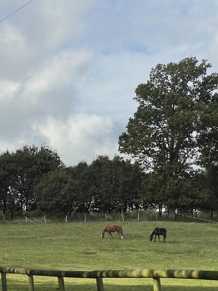 Dorset Polo Club