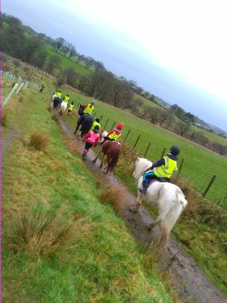 Denton Hall Riding School