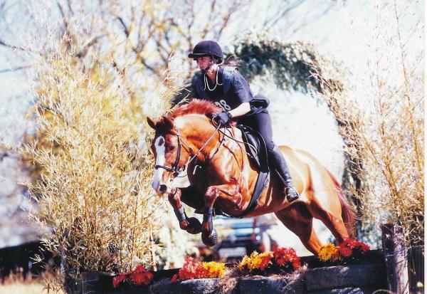 Huntersfield Equestrian Centre