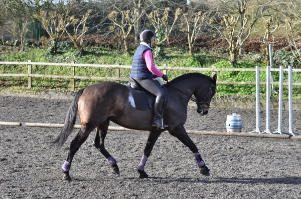 Huntersfield Equestrian Centre