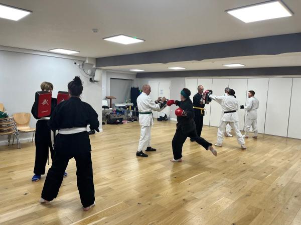 Les Bubka Karate Jutsu Guildford