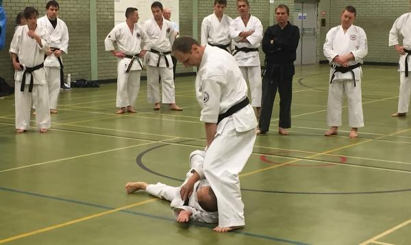 Les Bubka Karate Jutsu Guildford