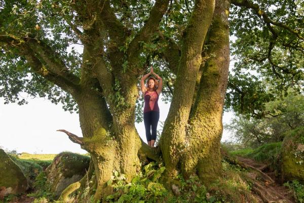 Love Yoga Tree With Natalie