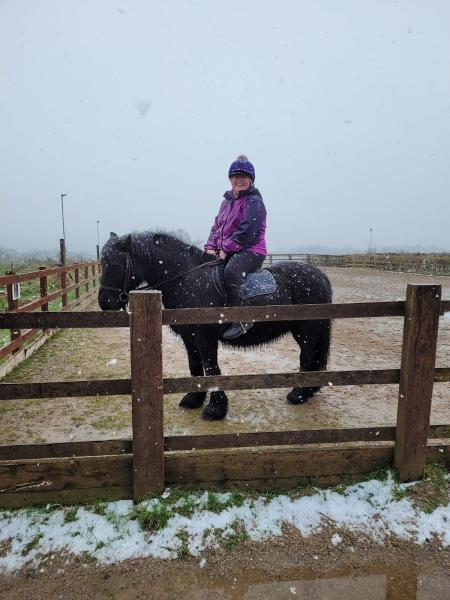 Aldercliffe Riding Establishment
