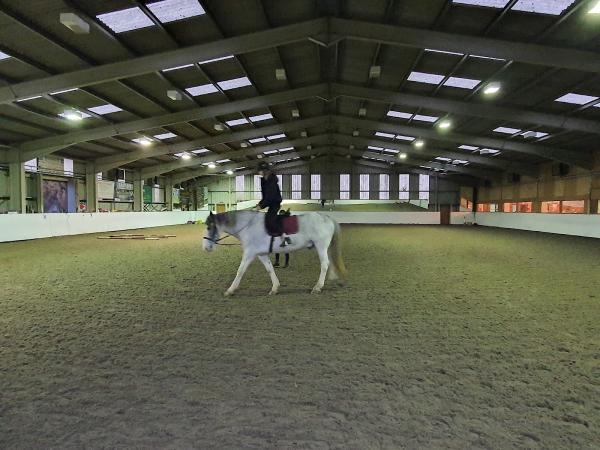 Pinkmead Farm Equestrian Centre