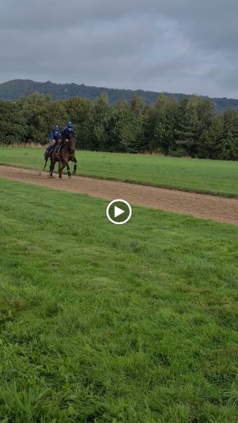 Manor House Stables