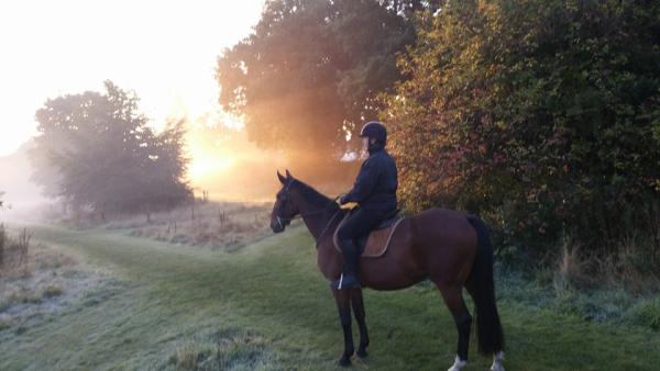 Wythenshawe Park Riding Stables Ltd