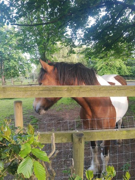 Wythenshawe Park Riding Stables Ltd