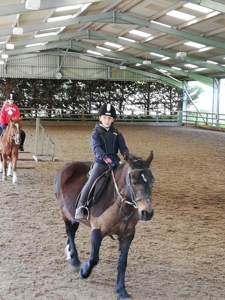 Mount Mascal Stables