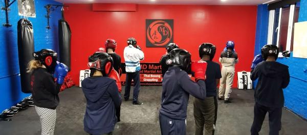 MD Martial Arts Academy