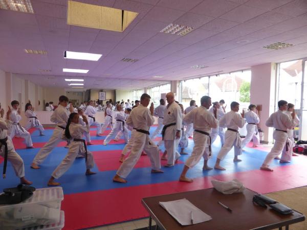 North Surrey Karate
