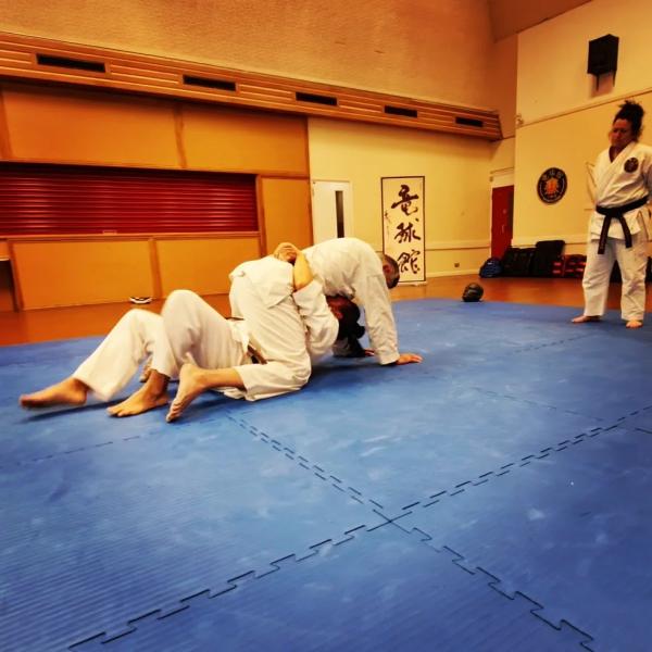 Ryukyukan Okinawa Karate & Kobudo