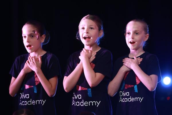 The Diva Academy