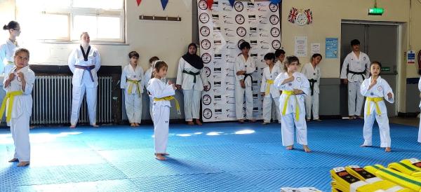 Alis Dojang London Taekwondo Club
