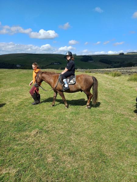 Sinderhope Pony Trekking Centre