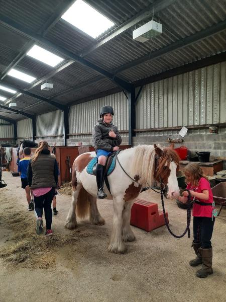 Sinderhope Pony Trekking Centre