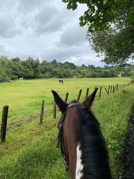 Edinburgh & Lasswade Riding Centre