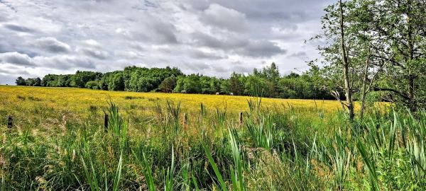 Lochore Meadows Equestrian Centre