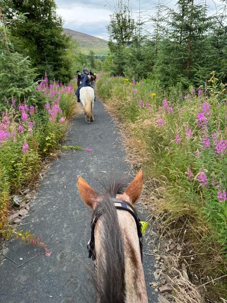 Equestrian Escapes