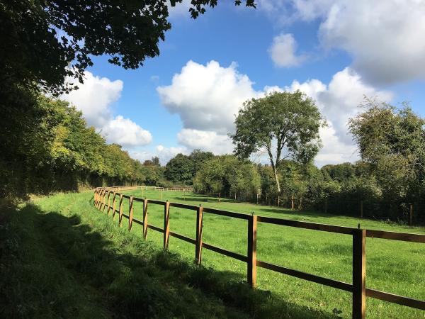 Woodruffe Stables