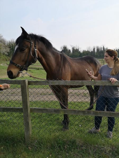 Woodruffe Stables