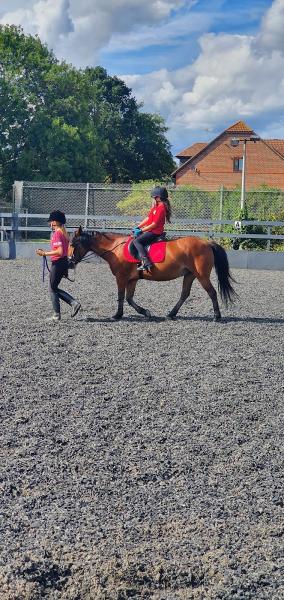 Barnfield Riding School