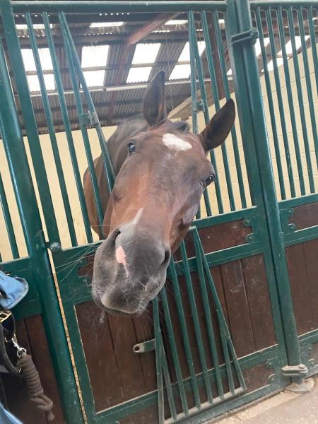 Liege Manor Equestrian Centre