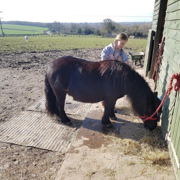 Witham Villa Riding Centre