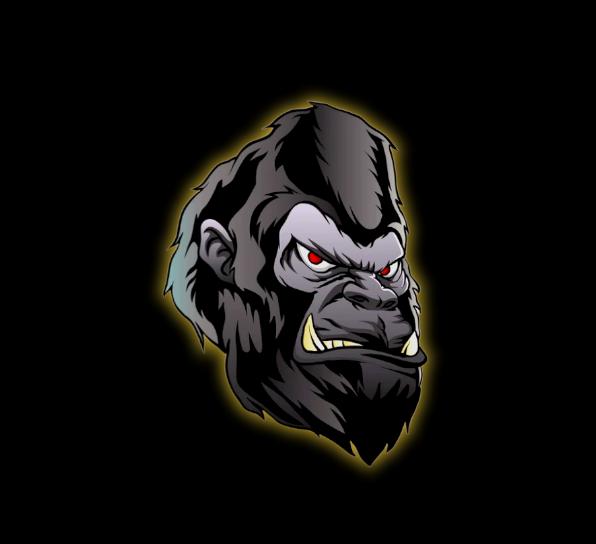 Gorilla Grappling Academy