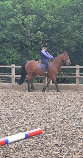 Leisure Ireland Riding Stables