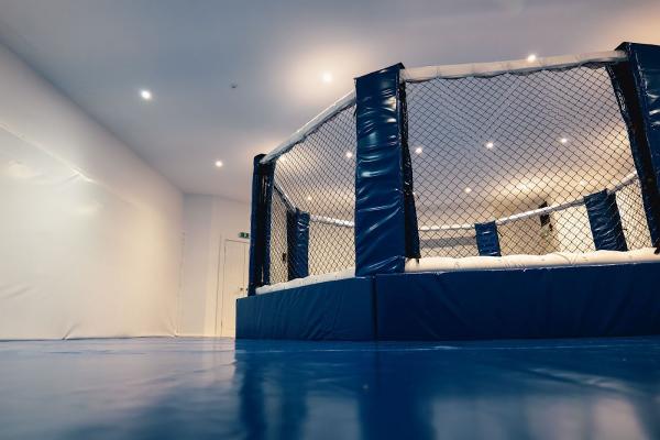 ACE MMA Elite Training Centre