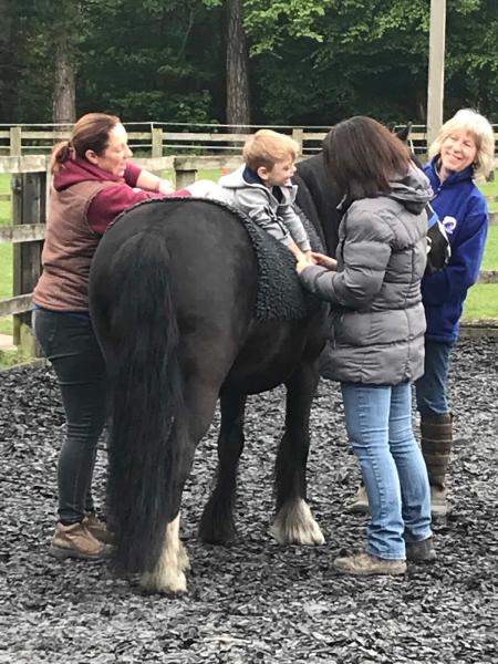 Crown Farm Stables-Reach (Rda-Hippotherapy)