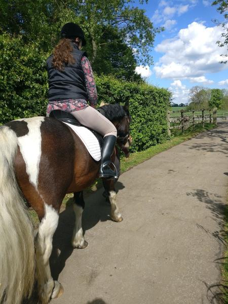 Hallingbury Hall Equestrian Centre