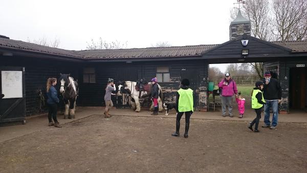 Hall Farm Stables