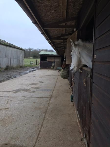 Vale Stud Riding School