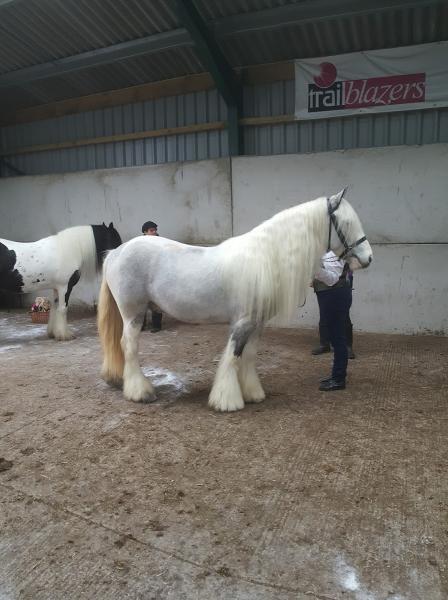 Osbaldeston Riding Centre