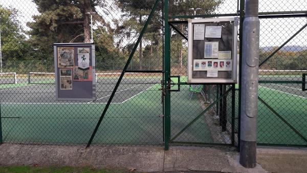 SE Tennis Academy