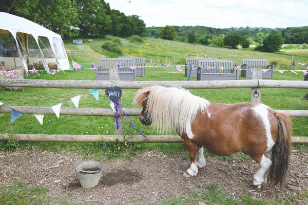 Shetland Pony Club