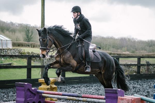 Larkrigg Riding School