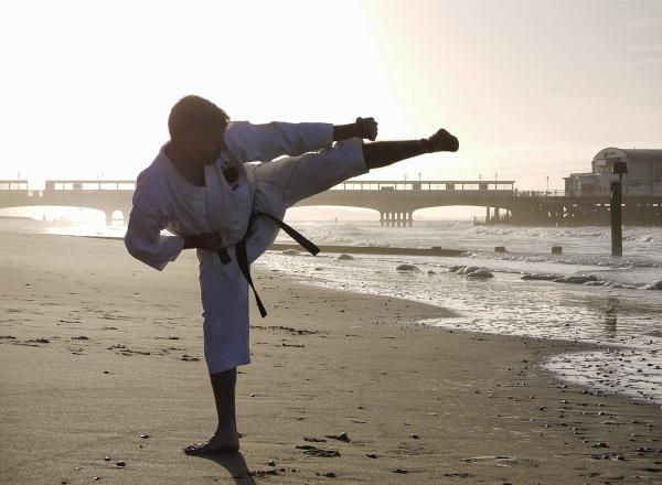 St Albans & Potters Bar Karate (Tiska)