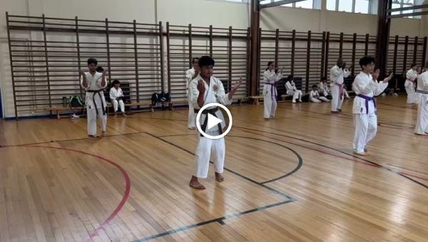 Senshi Ryu Martial Arts