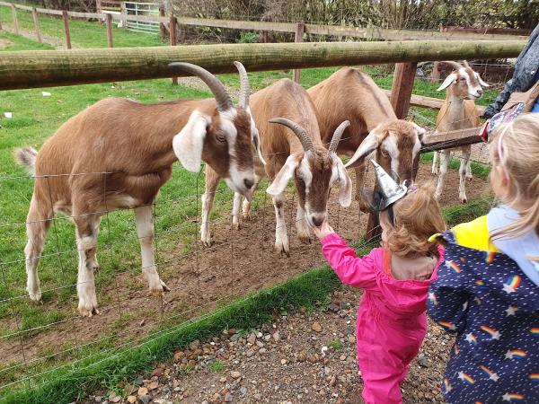 East Lodge Farm Riding Centre