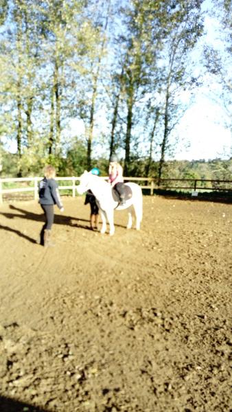 East Lodge Farm Riding Centre