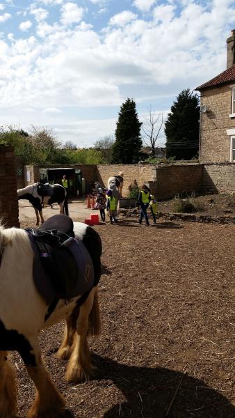 Coloured Cob Trekking Centre Ltd