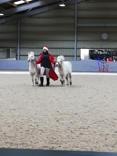 Finchale View Riding School