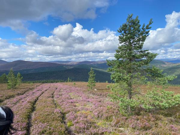 Glen Tanar Equestrian Centre