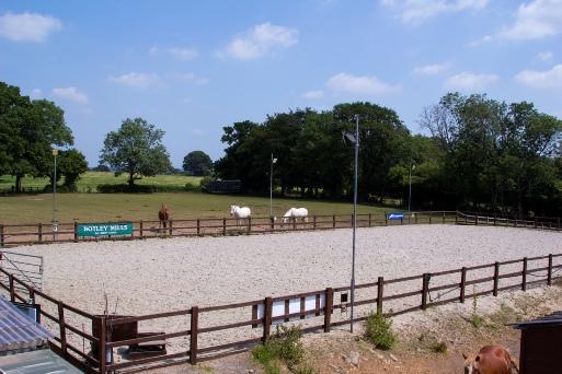 Alec Miles Equestrian