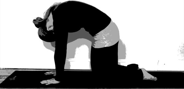 Yoga Classes & Private Sessions
